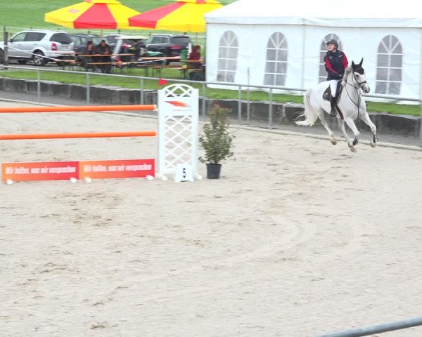 Reitturnier Galgenen 2020