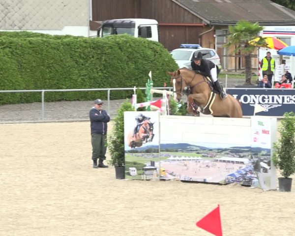 Reitturnier Galgenen 2020