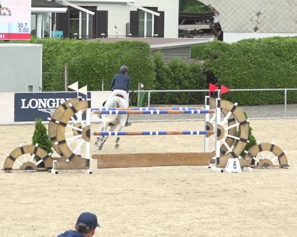 Reitturnier Galgenen 2020