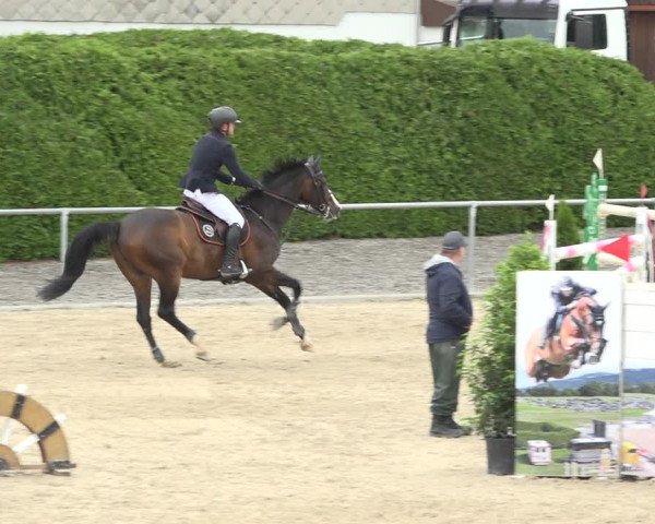Reitturnier Galgenen 2020