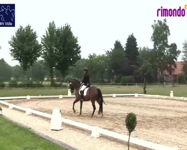 Reitturnier Hille 2020