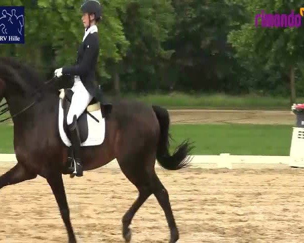 Reitturnier Hille 2020