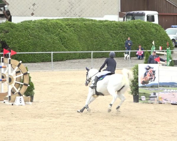 Reitturnier Galgenen 2020
