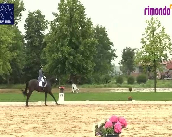 Reitturnier Hille 2020