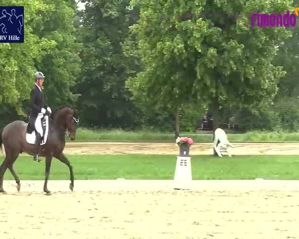 Reitturnier Hille 2020