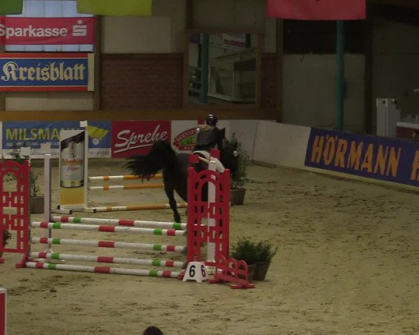 Steinhagen Classics 2021