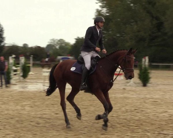 Reitturnier Everswinkel 2021