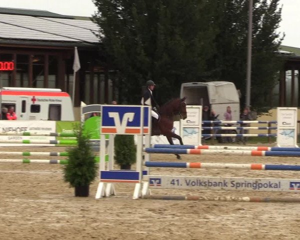 Reitturnier Everswinkel 2021
