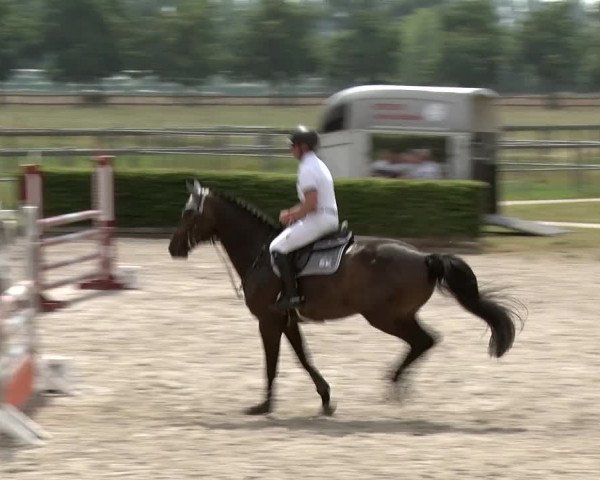 Reitturnier Neustadt/Dosse 2020
