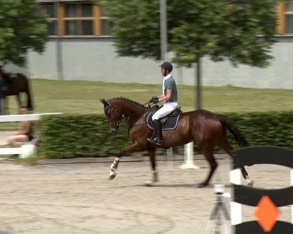 Reitturnier Neustadt/Dosse 2020