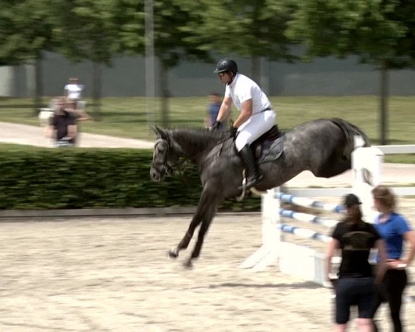Reitturnier Neustadt/Dosse 2020
