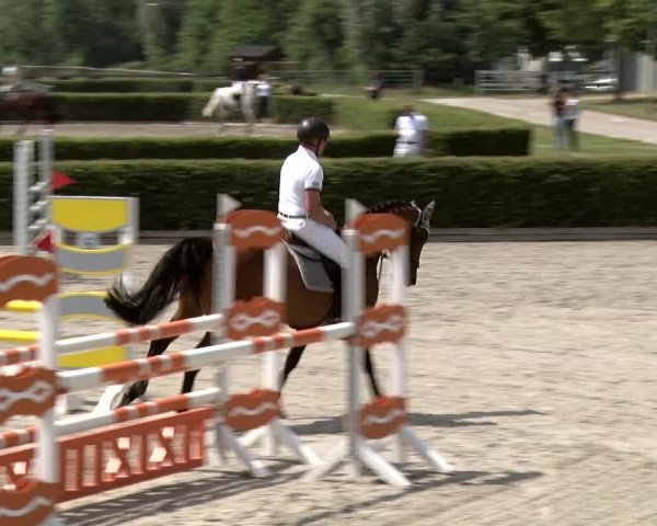 Reitturnier Neustadt/Dosse 2020