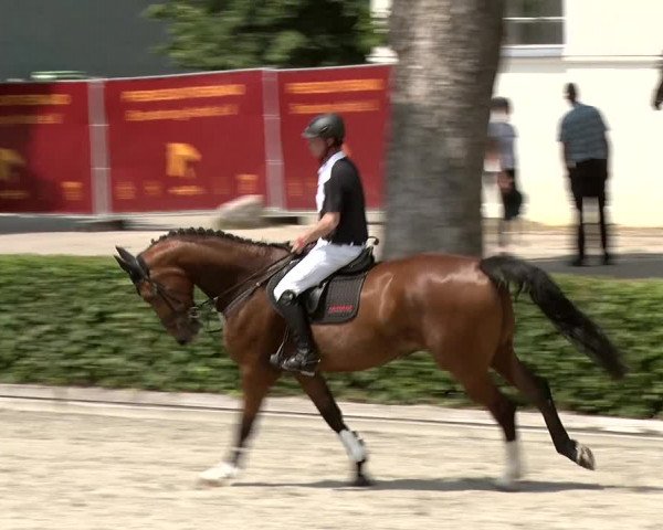 Reitturnier Neustadt/Dosse 2020