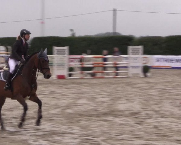 Reitturnier Niedernstöcken 2020