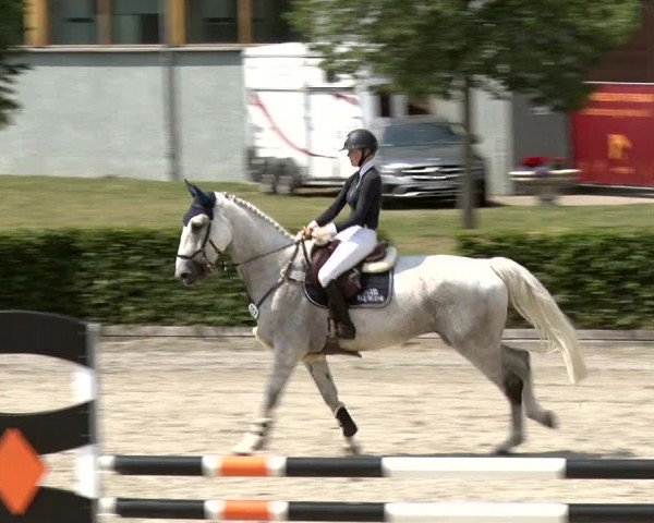 Reitturnier Neustadt/Dosse 2020