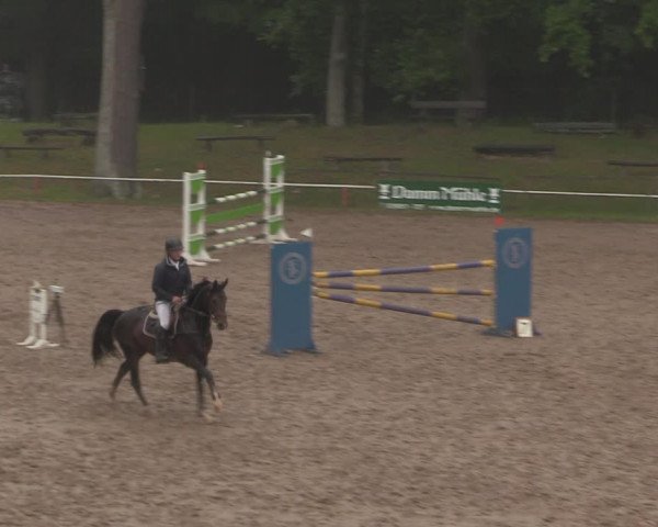 Reitturnier Calvörde 2020