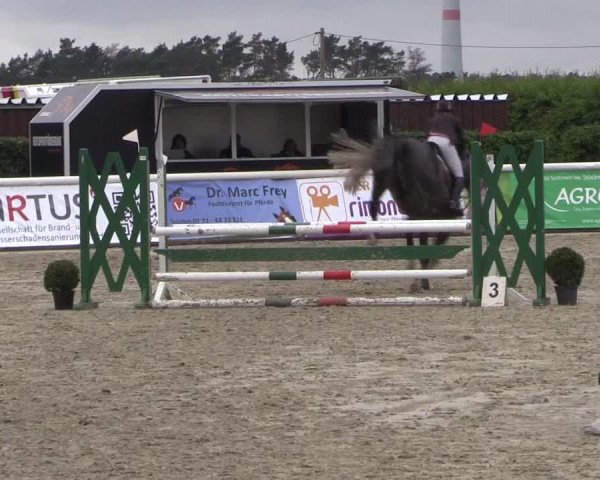 Reitturnier Niedernstöcken 2020