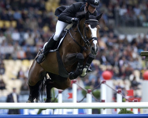 broodmare Meautry ‘s Pleasure (Oldenburg, 1995, from Papillon Rouge)