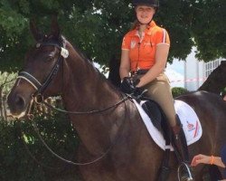 dressage horse Baldacci (KWPN (Royal Dutch Sporthorse), 2006, from Havidoff)