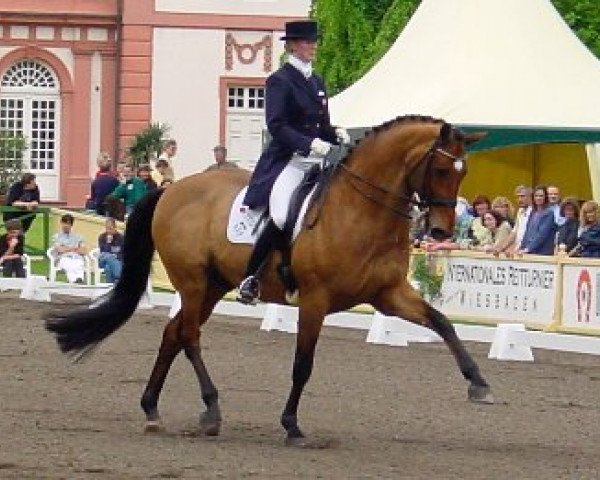 horse Fantast S (Hessian Warmblood, 1990, from Frisbee)
