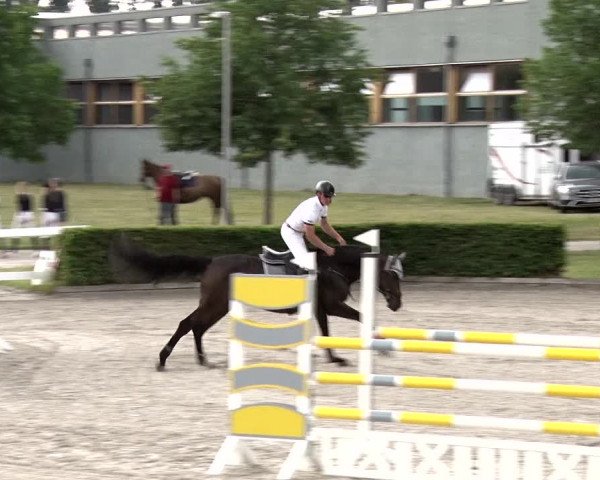 Reitturnier Neustadt/Dosse 2020