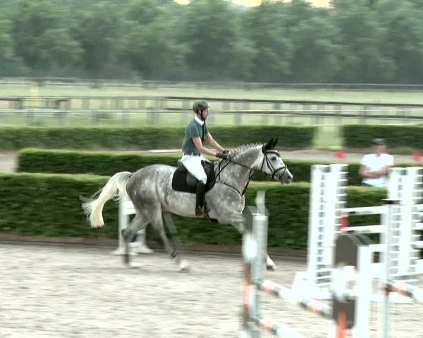 Reitturnier Neustadt/Dosse 2020