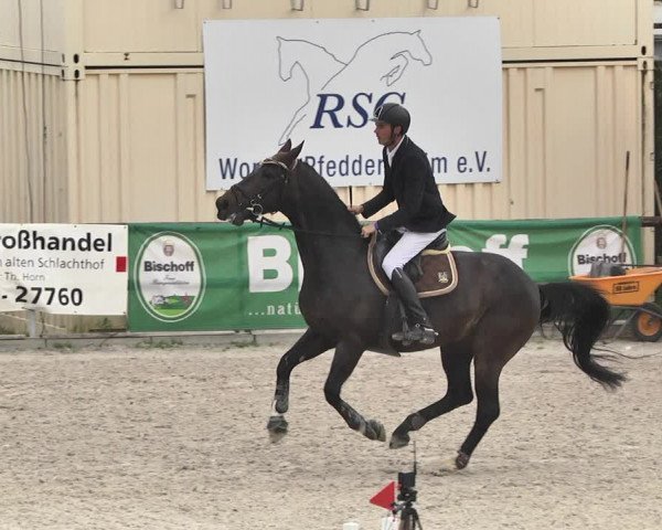 Reitturnier Worms-Pfeddersheim / Reitsportanlage Wittemer 2020