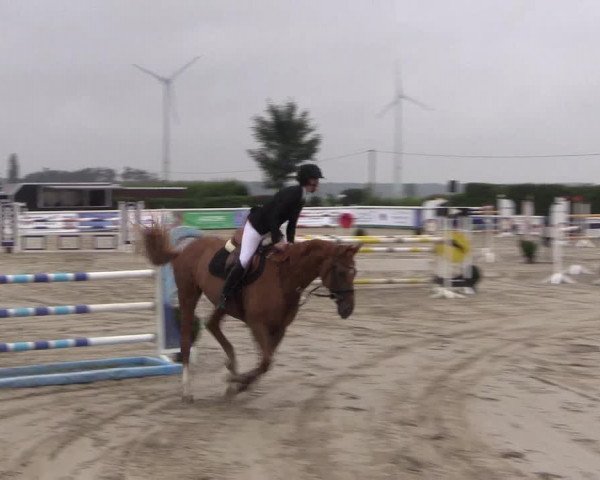 Reitturnier Niedernstöcken 2020