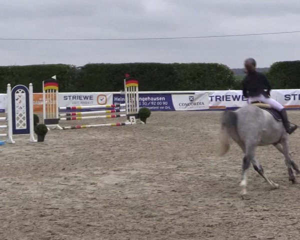 Reitturnier Niedernstöcken 2020