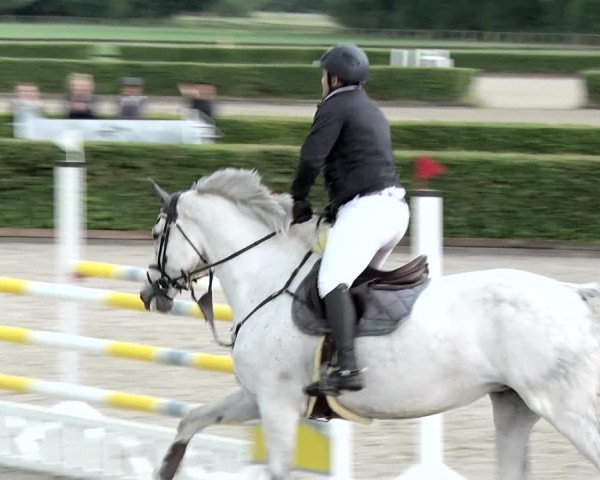 Reitturnier Neustadt/Dosse 2020