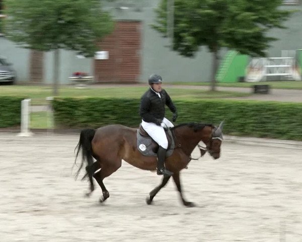 Reitturnier Neustadt/Dosse 2020