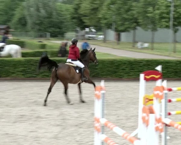 Reitturnier Neustadt/Dosse 2020