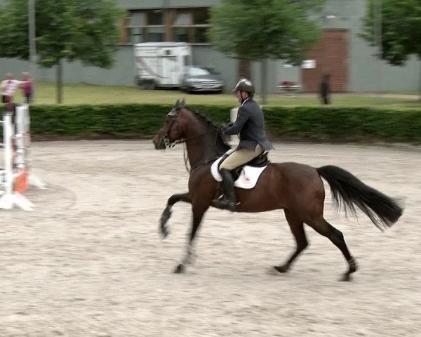Reitturnier Neustadt/Dosse 2020