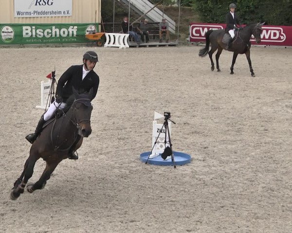 Reitturnier Worms-Pfeddersheim / Reitsportanlage Wittemer 2020