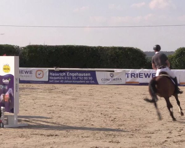 Reitturnier Niedernstöcken 2020