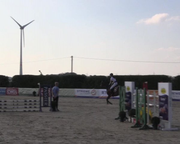 Reitturnier Niedernstöcken 2020