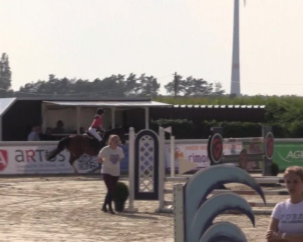 Reitturnier Niedernstöcken 2020