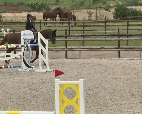Reitturnier Worms-Pfeddersheim / Reitsportanlage Wittemer 2020