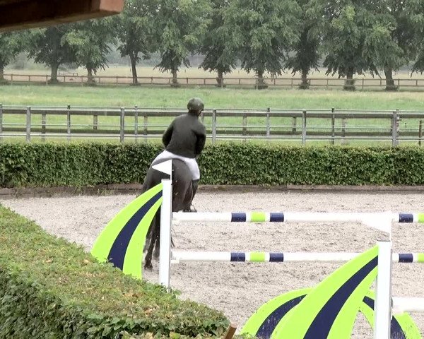 Reitturnier Neustadt/Dosse 2020
