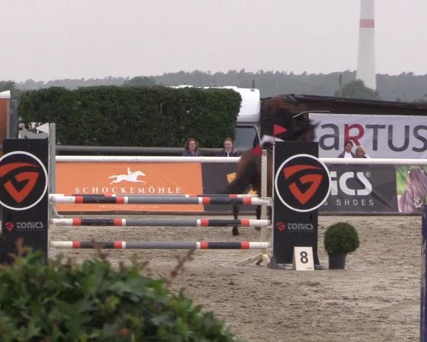 Reitturnier Niedernstöcken 2020