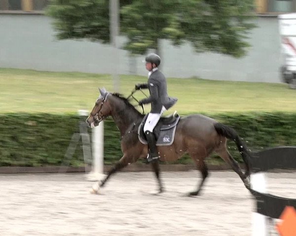Reitturnier Neustadt/Dosse 2020