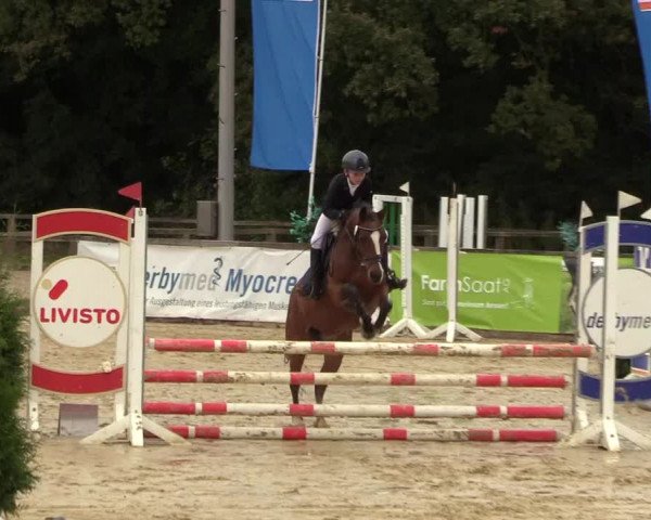 Reitturnier Everswinkel 2021