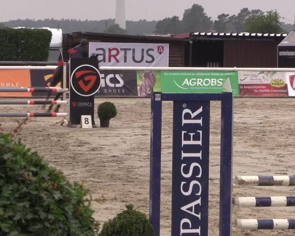Reitturnier Niedernstöcken 2020