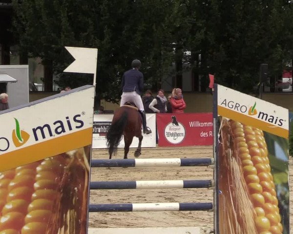 Reitturnier Everswinkel 2021