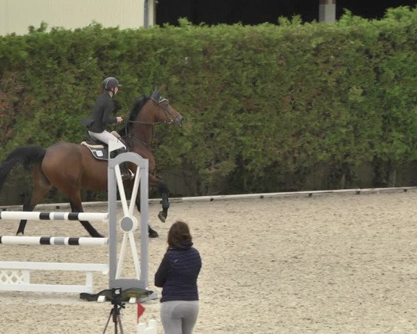 Reitturnier Worms-Pfeddersheim / Reitsportanlage Wittemer 2020