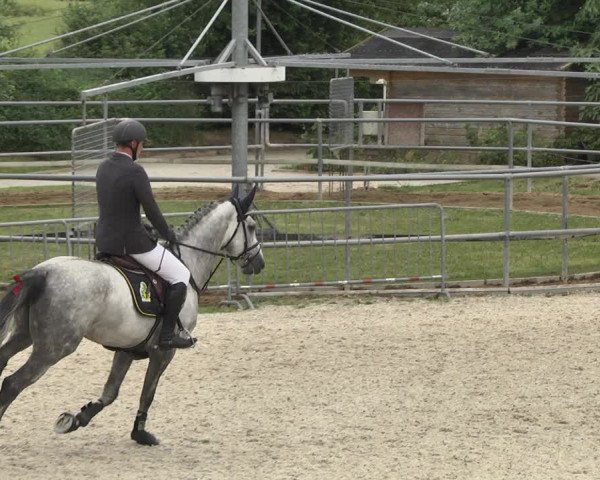Reitturnier Worms-Pfeddersheim / Reitsportanlage Wittemer 2020
