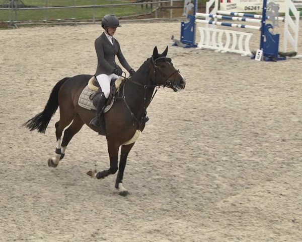 Reitturnier Worms-Pfeddersheim / Reitsportanlage Wittemer 2020