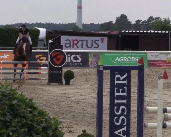 Reitturnier Niedernstöcken 2020