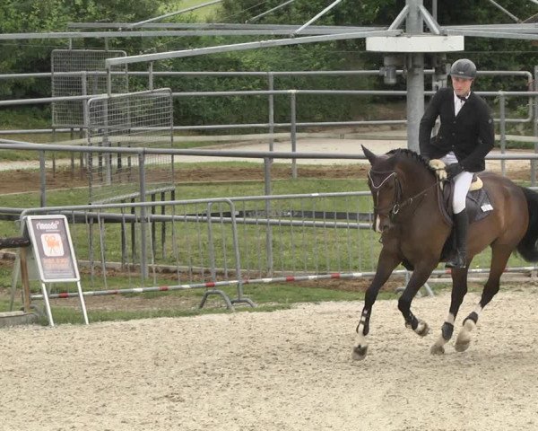 Reitturnier Worms-Pfeddersheim / Reitsportanlage Wittemer 2020