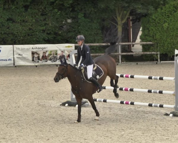 Reitturnier Worms-Pfeddersheim / Reitsportanlage Wittemer 2020